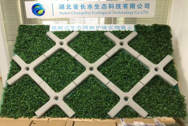 植根式生态网格护坡