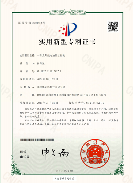 I类知识产权