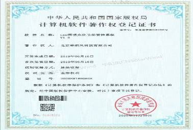 II类知识产权
