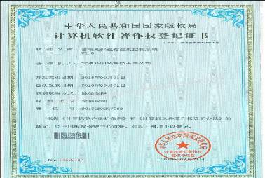 II类知识产权