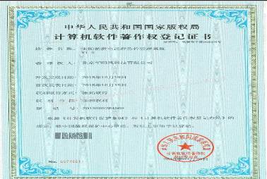 II类知识产权