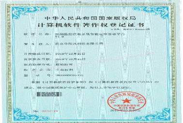 II类知识产权