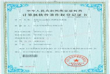 II类知识产权