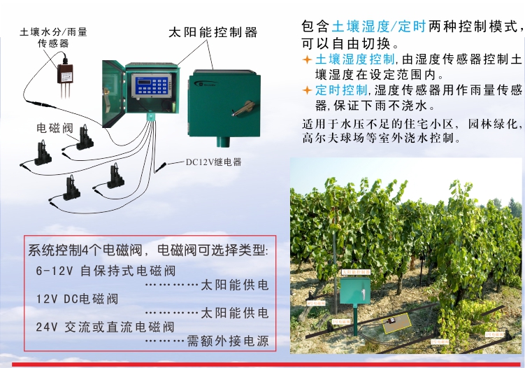GG-004C 淘宝C4 20250613.jpg