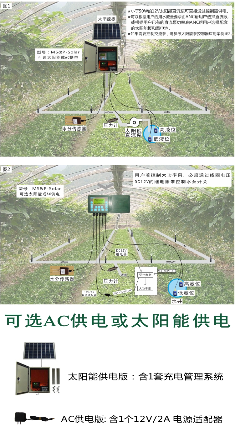 MS&P淘宝C3  2025.jpg
