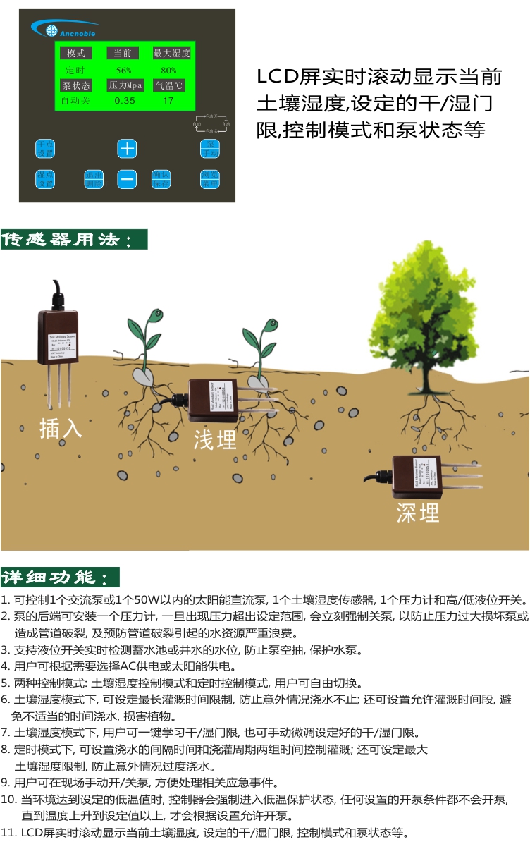 MS&P淘宝C4  2025.jpg